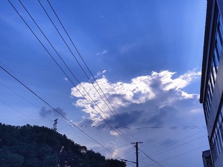 1000002304