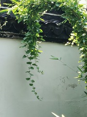 1000002662