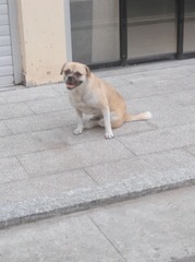 734467