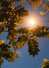 F8E4AA72-F5FA-4387-88FC-067165297ABF/L0/001