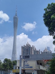 1000055609