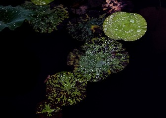 5927F01F-6D89-4AE0-AE69-1508C7BCAD4C/L0/001