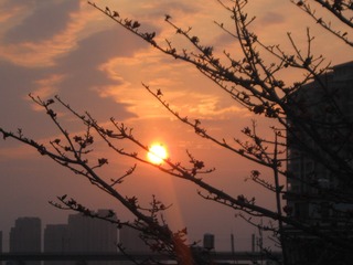 8CD8D58E-72D4-4ABE-9704-3F05F78F0DDA/L0/001