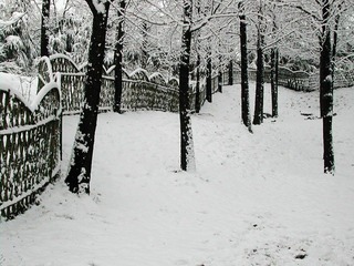 DSCN0800_银装素裹.jpg