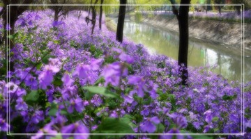 P1040872-南林大-1.jpg