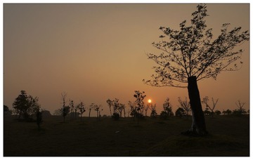 P1060392_体育公园