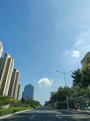 1000011317
