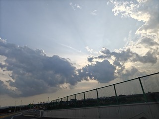 1000017526