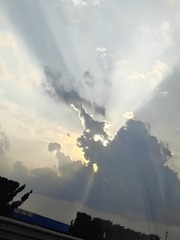 1000017521