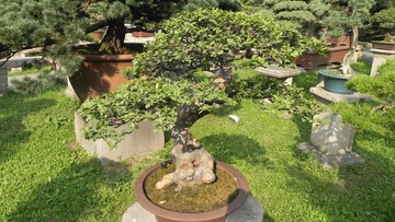 A647AFA8-CE02-454E-9EE6-558F8EC13D17/L0/001
