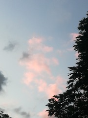 244638