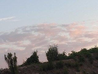 597246