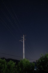 362209