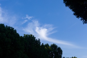 2182529