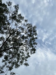 13F4E431-7412-47AB-A6EF-968E40E5F2DD/L0/001