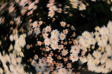 1000001425