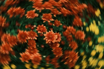 1000001351