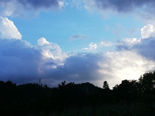 18306