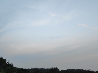 1000021117