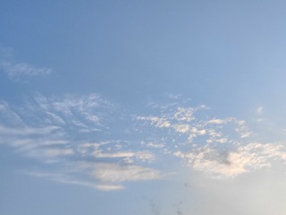 1000016805