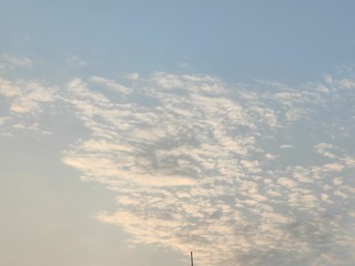 1000016807