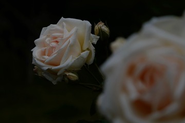 3B89C40B-4B90-484A-BFE0-6B6879A3AA79/L0/001