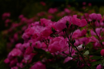 84492B21-F114-4B4D-946B-4D4E859DF81D/L0/001