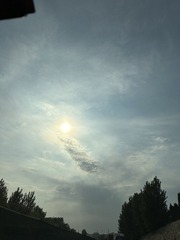 629E457D-0A04-4B21-A07B-E3006C4B5497/L0/001