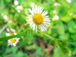 DSCN2506.JPG