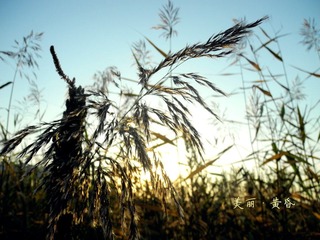DSCN0737.jpg