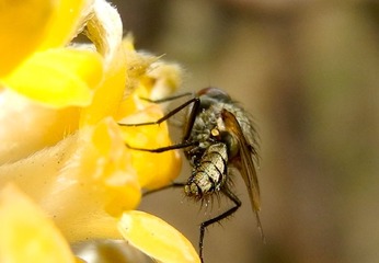 20130404-DSCN4947.jpg