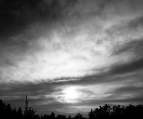 DSCN6079-1.jpg