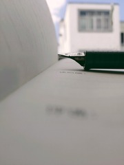 2907412