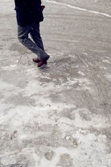 SDC12613.jpg