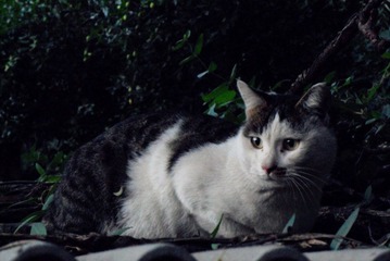 SDC15905.jpg