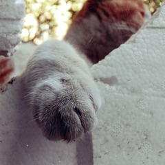 CIMG0654_副本.jpg