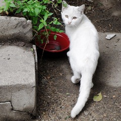 SDC16160_副本.jpg