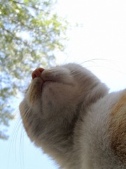 SDC17495_副本.jpg