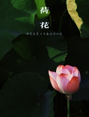B2E9EB36-3316-4E3E-9473-CCFDEF4BEE6A/L0/001