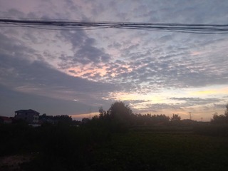 992
