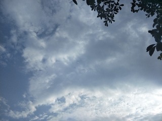 206302