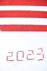 41074