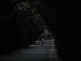 2A2D72F6-0987-456A-B4C0-67BF1E0A6908/L0/001