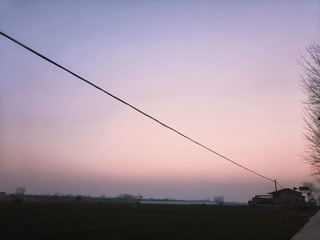1000008182