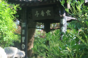 B698FA48-9EFF-4CD2-A4CB-E7E228AE31B1/L0/001