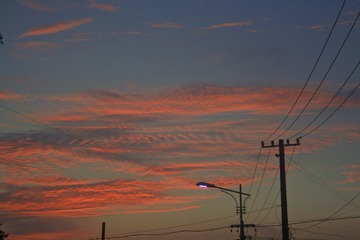 8A95B8C7-C140-4CCE-8451-562E8EA638A2/L0/001