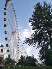 1827772