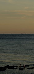 21C869C2-38DF-4DD1-872F-106D525EB8C8/L0/001