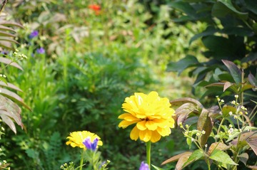 IMGP0066.JPG