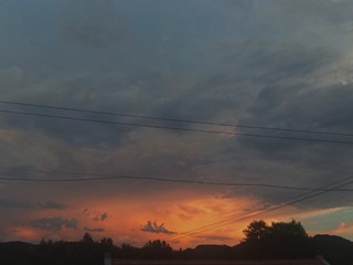 1334206
